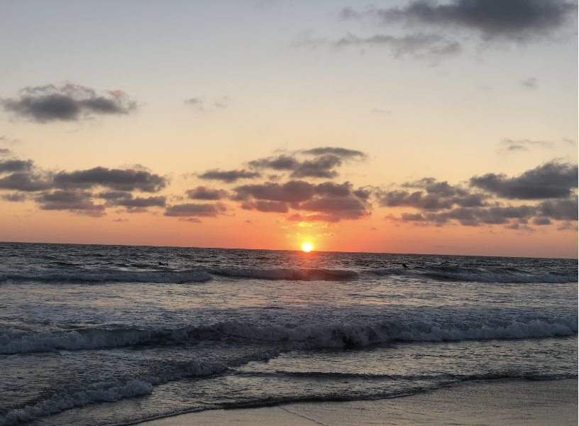 San Diego’s Best Summer Activities